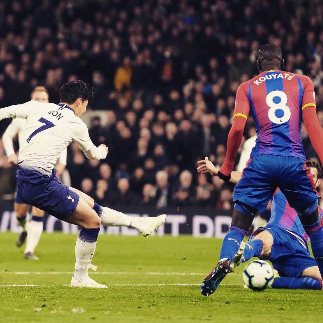 不仅将提升 不仅将提升